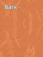 bark